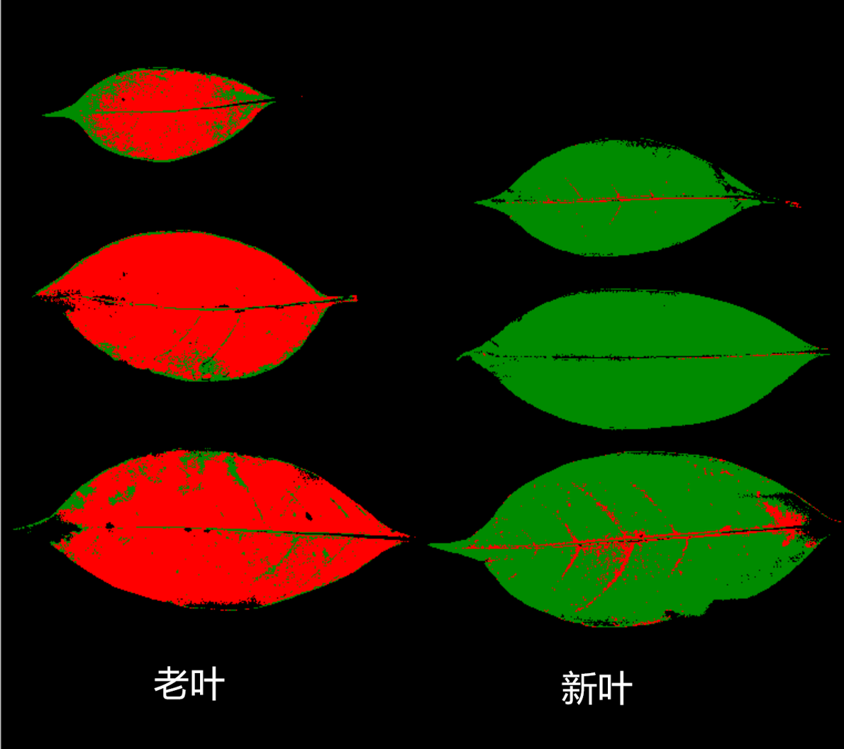 圖片6.png