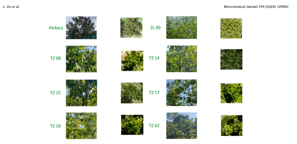 20251120131804597685.png image.png